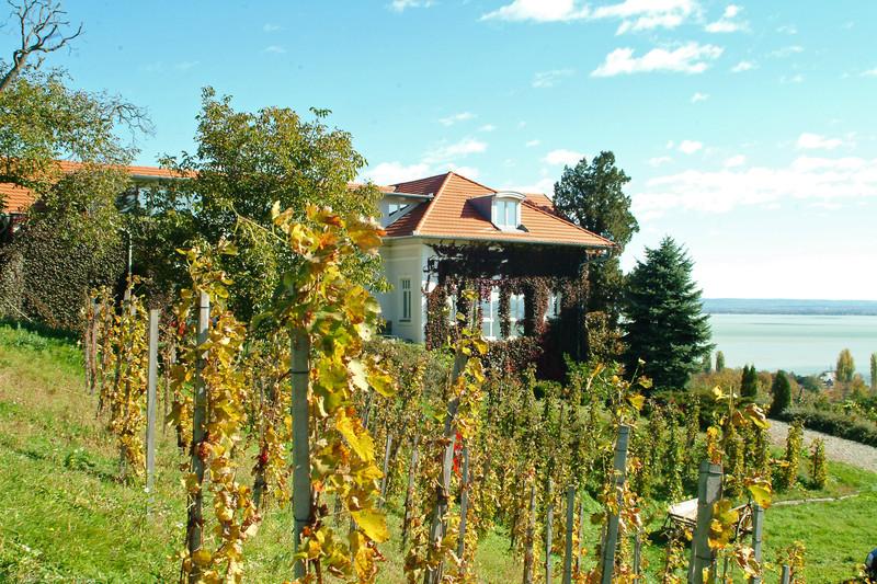 Veranda a sziklák alatt - Szeremley Huba