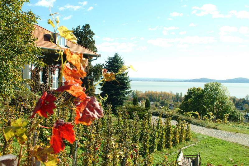 Veranda a sziklák alatt - Szeremley Huba