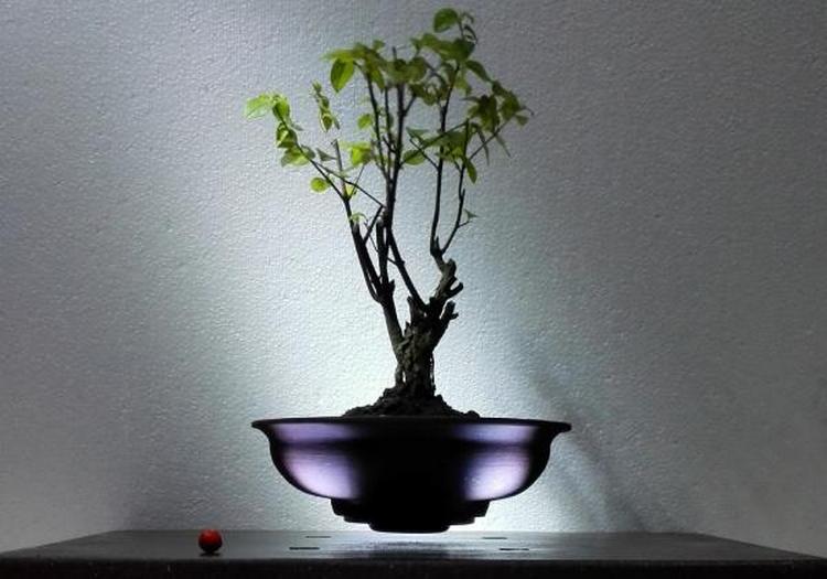 Gardenexpo 2017 - friss kültéri trendek és kertépítési irányzatok, kerti bútorok, díjnyertes bemutatókertek