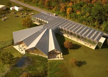 VELUX - A világ 100 legjobb zöld kezdeményezését díjazza Arnold Schwarzenegger, a Sustainia Díj elnöke 1