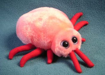 Kártevők a lakásban - a német csótány és az ágyi poloska a két legelterjedtebb