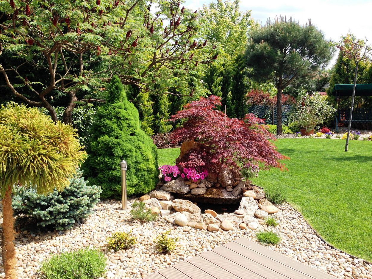 Mediterrán ház kertje Mediterrán ház kertje