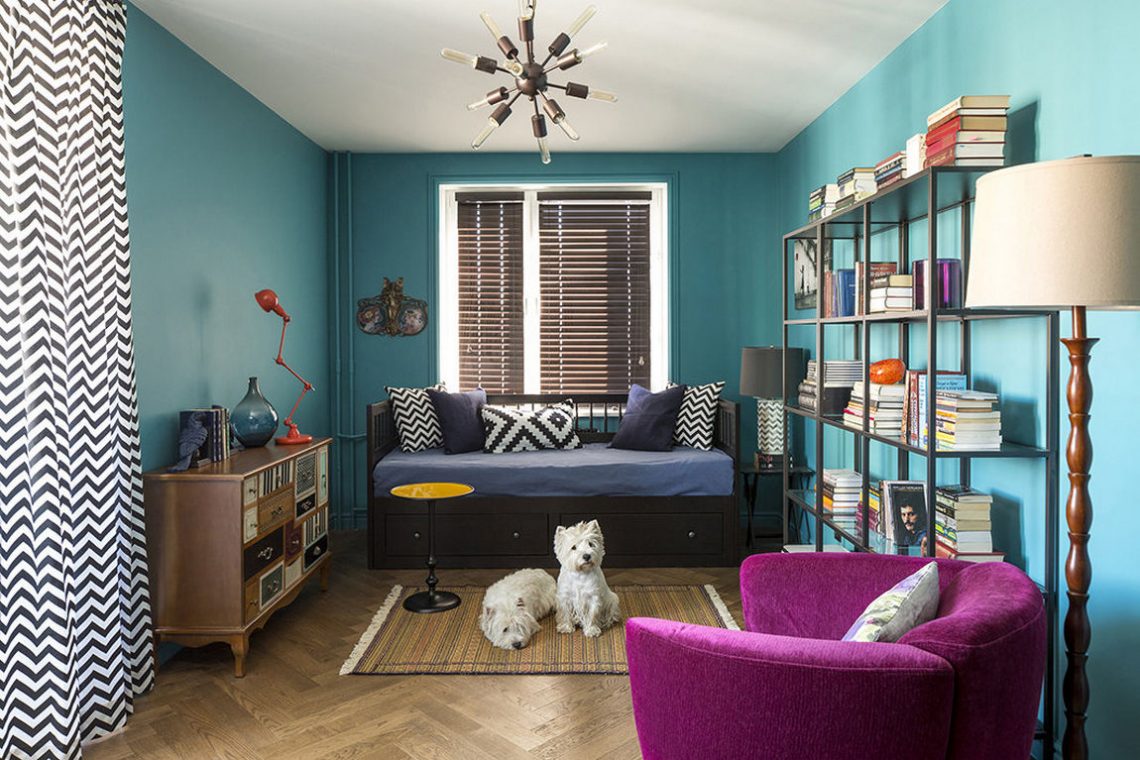 Színes kislakás - fiatal lány és két kiskutya 33m2-es otthona egy szobával, külön konyhával, kék, zöld, lila, piros árnyalatokkal