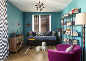 Színes kislakás - fiatal lány és két kiskutya 33m2-es otthona egy szobával, külön konyhával, kék, zöld, lila, piros árnyalatokkal