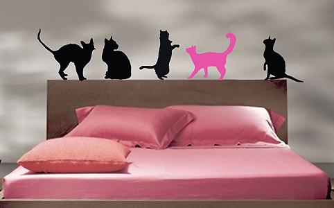 cica falmatrica cica falmatrica