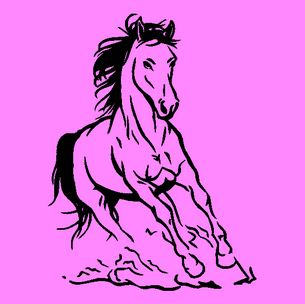 falmatrica 04 falmatrica 04