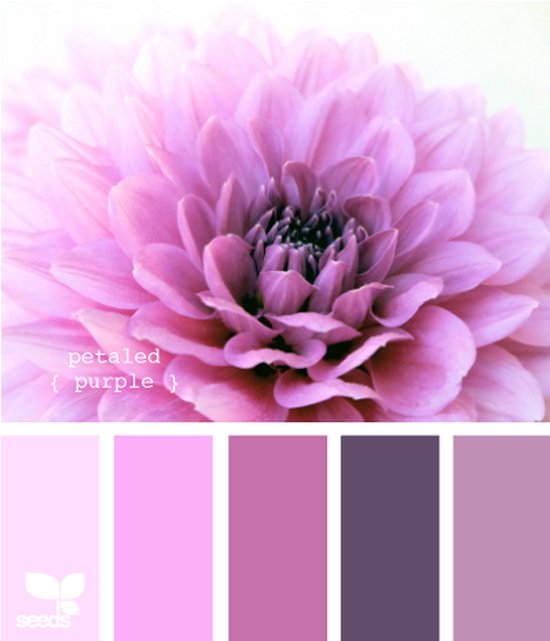 A négy és fél éves kislányom szobáját szeretném átfesteni - lila falszín ötletek A négy és fél éves kislányom szobáját szeretném átfesteni - lila falszín ötletek