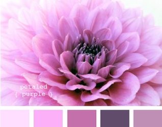 A négy és fél éves kislányom szobáját szeretném átfesteni - lila falszín ötletek