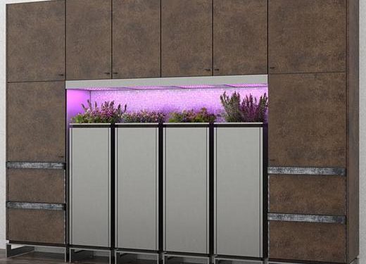 A konyhabútor gyártó cég ötlete a fűszernövény kertészetet egyenesen a konyhabútorba integrálja - LED fényekkel segítve a növények fejlődését