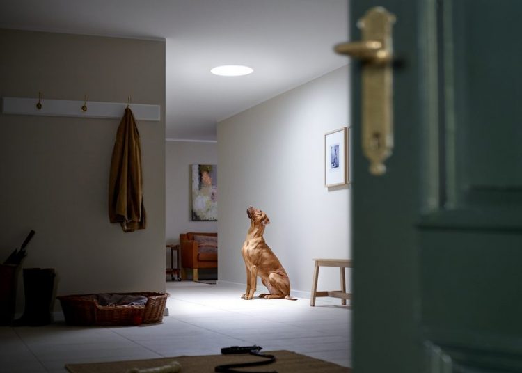 Fénycsatornával jelentősen csökkenthető a villanyszámla - VELUX