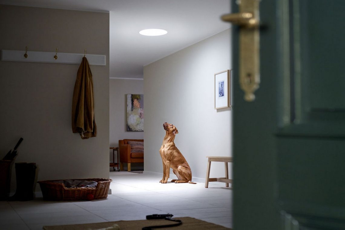 Villany vagy napfény? Fénycsatorna a ház sötét és elzárt helyiségeibe az elektromos világítás helyett