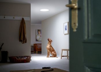 Villany vagy napfény? Fénycsatorna a ház sötét és elzárt helyiségeibe az elektromos világítás helyett